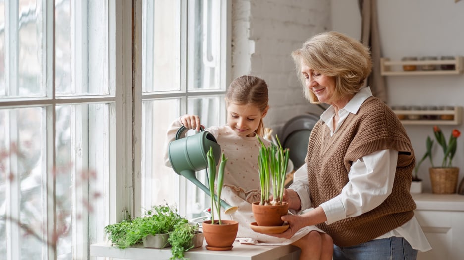 Cayro - Blog post - Juegos para jugar con los abuelos - 3