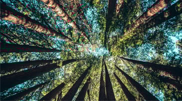 cayro materiales reciclados